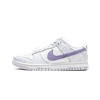تصویر Nike Dunk SB Low Puprle Plus